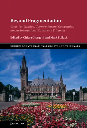 Giorgetti / Pollack | Beyond Fragmentation | Buch | 978-1-009-10049-6 | sack.de