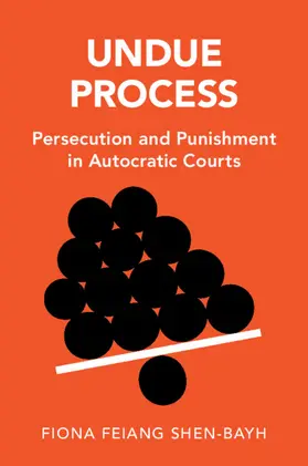 Shen-Bayh |  Undue Process | Buch |  Sack Fachmedien