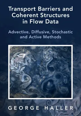 Haller |  Transport Barriers and Coherent Structures in Flow Data | Buch |  Sack Fachmedien