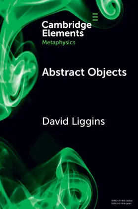 Liggins |  Abstract Objects | Buch |  Sack Fachmedien