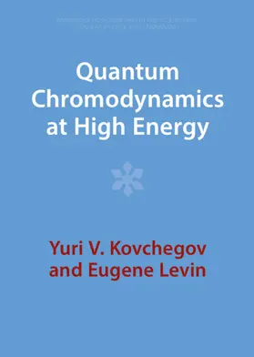 Kovchegov / Levin |  Quantum Chromodynamics at High Energy | Buch |  Sack Fachmedien