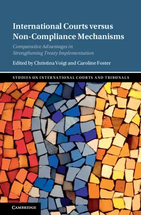 Voigt / Foster |  International Courts versus Non-Compliance Mechanisms | Buch |  Sack Fachmedien