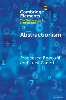 Boccuni / Zanetti |  Abstractionism | Buch |  Sack Fachmedien