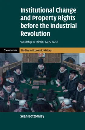 Bottomley |  Institutional Change and Property Rights Before the Industrial Revolution | Buch |  Sack Fachmedien