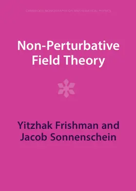 Frishman / Sonnenschein |  Non-Perturbative Field Theory | Buch |  Sack Fachmedien