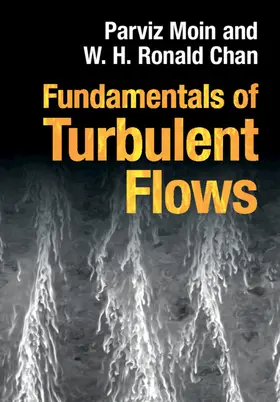 Moin / Chan |  Fundamentals of Turbulent Flows | Buch |  Sack Fachmedien