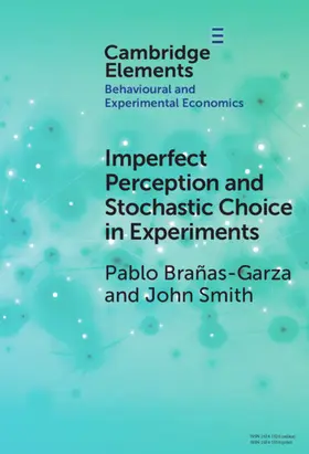 Brañas-Garza / Smith | Imperfect Perception and Stochastic Choice in Experiments | Buch | 978-1-009-45441-4 | sack.de