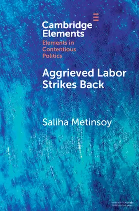 Metinsoy |  Aggrieved labor strikes back | Buch |  Sack Fachmedien