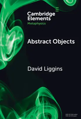 Liggins |  Abstract Objects | Buch |  Sack Fachmedien