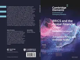 Petry / Nölke |  BRICS and the Global Financial Order | Buch |  Sack Fachmedien