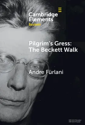 Furlani |  Pilgrim's Gress | Buch |  Sack Fachmedien