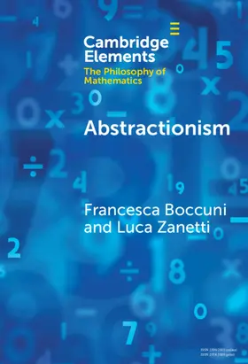 Boccuni / Zanetti |  Abstractionism | Buch |  Sack Fachmedien