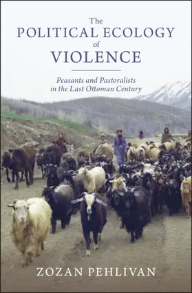 Pehlivan |  The Political Ecology of Violence | Buch |  Sack Fachmedien