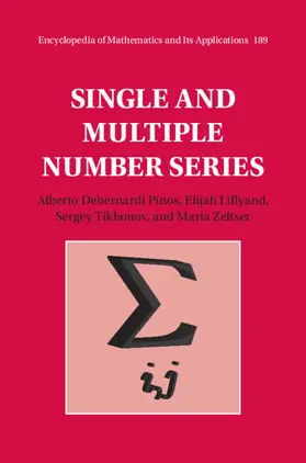 Debernardi Pinos / Liflyand / Zeltser |  Single and Multiple Number Series | Buch |  Sack Fachmedien