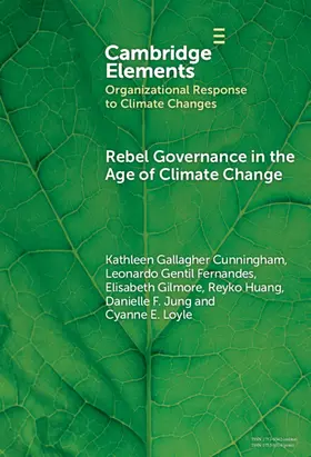 Cunningham / Fernandes / Gilmore |  Rebel Governance in the Age of Climate Change | Buch |  Sack Fachmedien