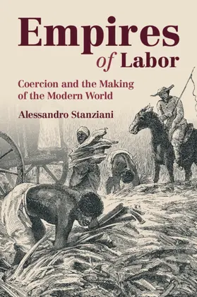 Stanziani |  Empires of Labor | Buch |  Sack Fachmedien