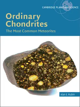Rubin |  Ordinary Chondrites | Buch |  Sack Fachmedien
