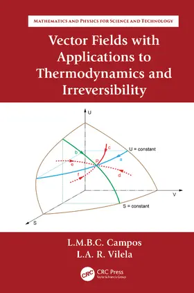 Braga da Costa Campos / Raio Vilela |  Vector Fields with Applications to Thermodynamics and Irreversibility | Buch |  Sack Fachmedien