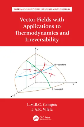 Braga da Costa Campos / Raio Vilela |  Vector Fields with Applications to Thermodynamics and Irreversibility | Buch |  Sack Fachmedien