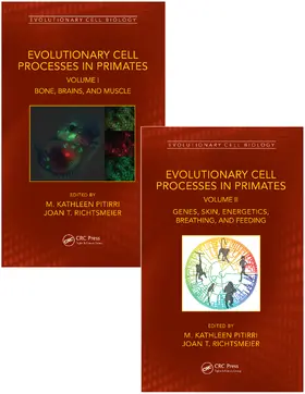 Pitirri / Richtsmeier |  Evolutionary Cell Processes in Primates | Buch |  Sack Fachmedien
