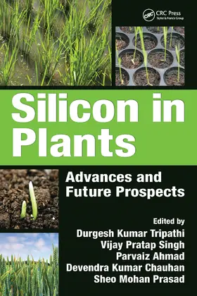 Chauhan / Tripathi / Singh |  Silicon in Plants | Buch |  Sack Fachmedien