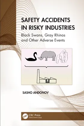 Andonov | Safety Accidents in Risky Industries | Buch | 978-1-032-13647-9 | sack.de