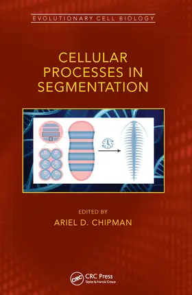 Chipman |  Cellular Processes in Segmentation | Buch |  Sack Fachmedien