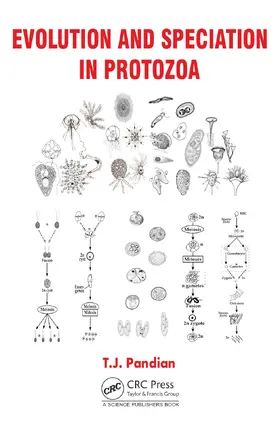 Pandian |  Evolution and Speciation in Protozoa | Buch |  Sack Fachmedien