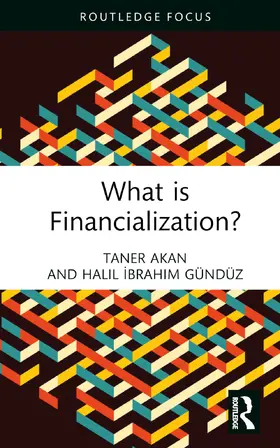 Akan / Gündüz |  What is Financialization? | Buch |  Sack Fachmedien