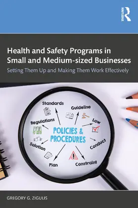 Zigulis |  Health and Safety Programs in Small and Medium-sized Businesses | Buch |  Sack Fachmedien