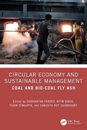 Singh / Pandey / Chowdhury |  Circular Economy and Sustainable Management | Buch |  Sack Fachmedien