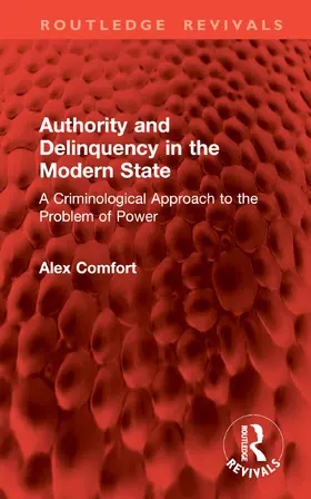 Comfort |  Authority and Delinquency in the Modern State | Buch |  Sack Fachmedien