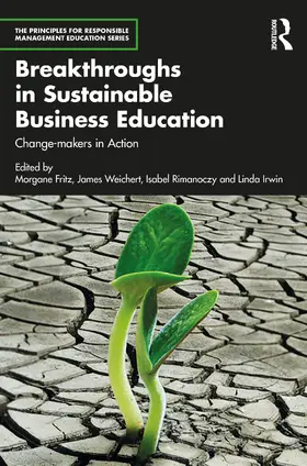 Rimanoczy / Fritz / Weichert |  Breakthroughs in Sustainable Business Education | Buch |  Sack Fachmedien