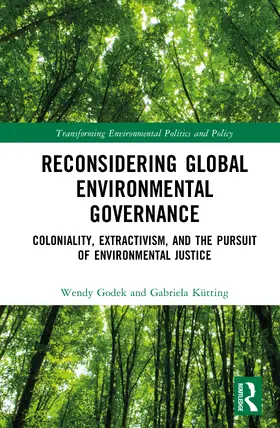 Kutting / Godek / Kütting |  Reconsidering Global Environmental Governance | Buch |  Sack Fachmedien