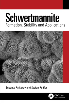 Paikaray / Peiffer | Schwertmannite | Buch | 978-1-032-95238-3 | www2.sack.de