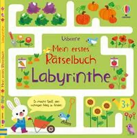  Mein erstes Rätselbuch: Labyrinthe | Buch |  Sack Fachmedien
