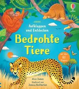 James |  Aufklappen und Entdecken: Bedrohte Tiere | Buch |  Sack Fachmedien