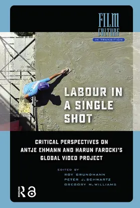 Williams / Grundmann / Schwartz |  Labour in a Single Shot | Buch |  Sack Fachmedien