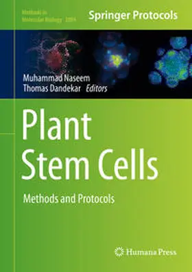 Naseem / Dandekar |  Plant Stem Cells | eBook | Sack Fachmedien