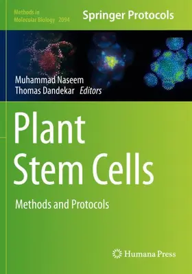 Naseem / Dandekar |  Plant Stem Cells | Buch |  Sack Fachmedien