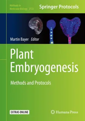 Bayer |  Plant Embryogenesis | Buch |  Sack Fachmedien
