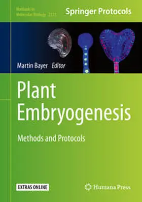 Bayer |  Plant Embryogenesis | eBook | Sack Fachmedien
