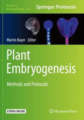 Bayer |  Plant Embryogenesis | Buch |  Sack Fachmedien