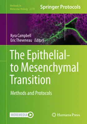 Campbell / Theveneau |  The Epithelial-to Mesenchymal Transition | eBook | Sack Fachmedien