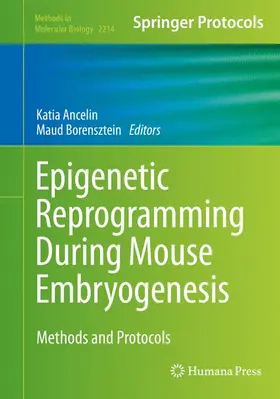 Ancelin / Borensztein | Epigenetic Reprogramming During Mouse Embryogenesis | Buch | 978-1-0716-0957-6 | www2.sack.de