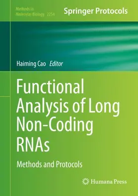 Cao | Functional Analysis of Long Non-Coding RNAs | Buch | 978-1-0716-1157-9 | www2.sack.de