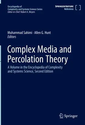 Hunt / Sahimi |  Complex Media and Percolation Theory | Buch |  Sack Fachmedien