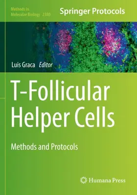 Graca |  T-Follicular Helper Cells | Buch |  Sack Fachmedien