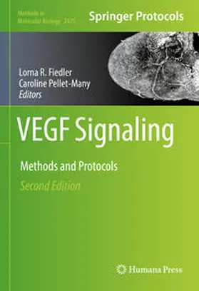Fiedler / Pellet-Many |  VEGF Signaling | eBook | Sack Fachmedien