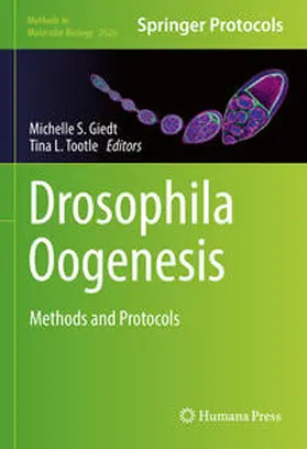 Giedt / Tootle |  Drosophila Oogenesis | eBook | Sack Fachmedien